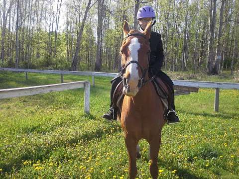 Northern Saddle Club Northern Saddle Club